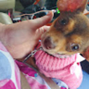 Meet your Posher, Krystal